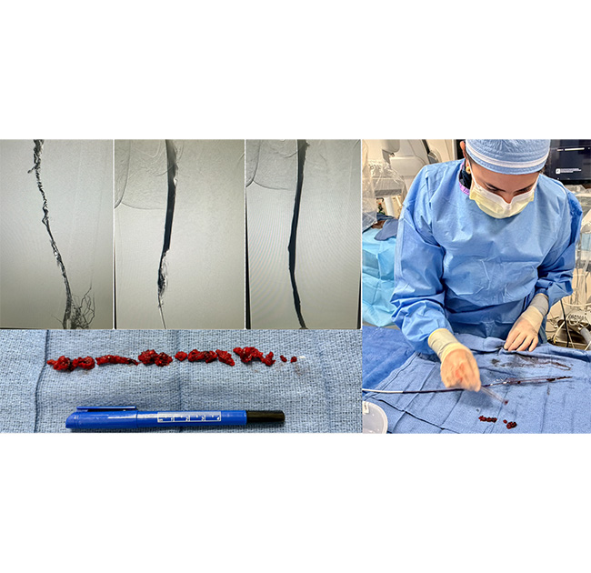 Professional Medical Staff at Vascular and Cardiac Institute